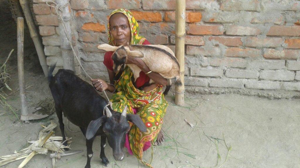 ?Agnes Jackson is a widow with 5 school children. She received a goat and a baby goat.