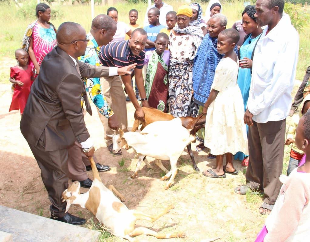 Theodory Katabaro a District Community Development Officer for Kilosa district handing over goats to the women of Msowero village, Kilosa district Morogoro region on Nov 16th.