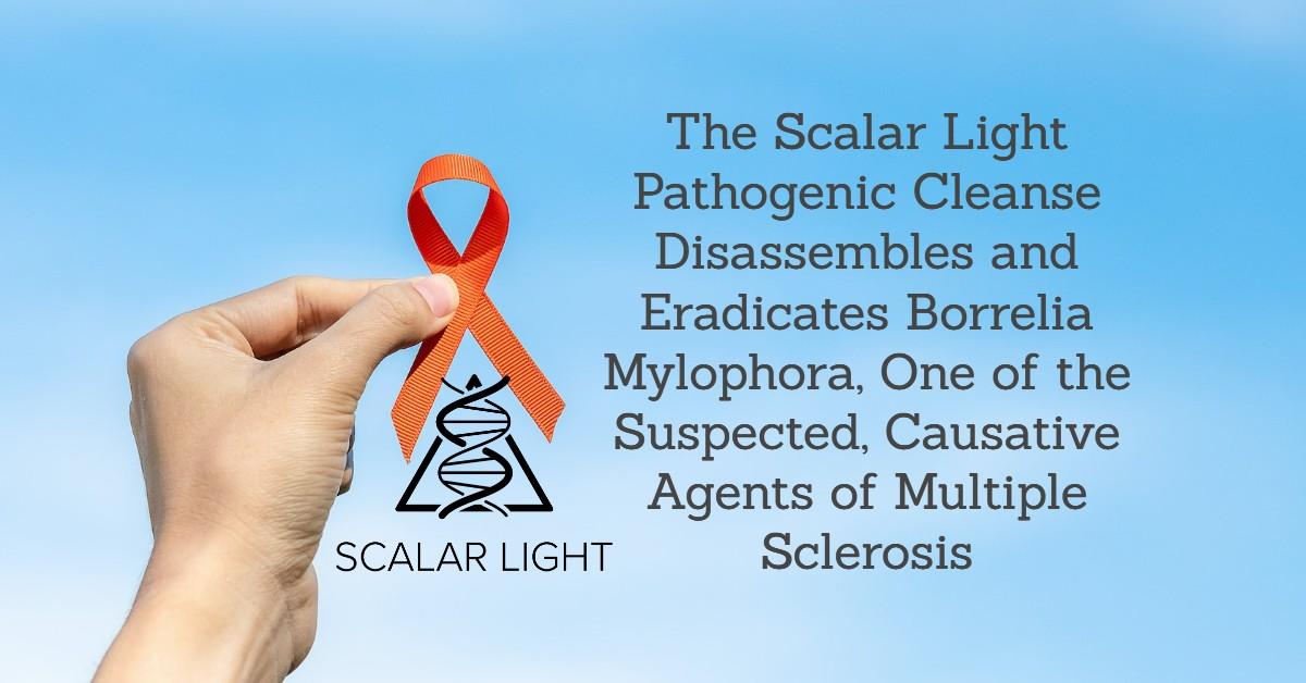 The Scalar Light Pathogenic Cleanse Disassembles and Eradicates Borrelia Mylophora, One of the Suspected, Causative Agents of Multiple Sclerosis