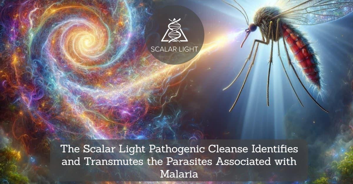  The Scalar Light Pathogenic Cleanse Identifies and Transmutes the Parasites Associated with Malaria