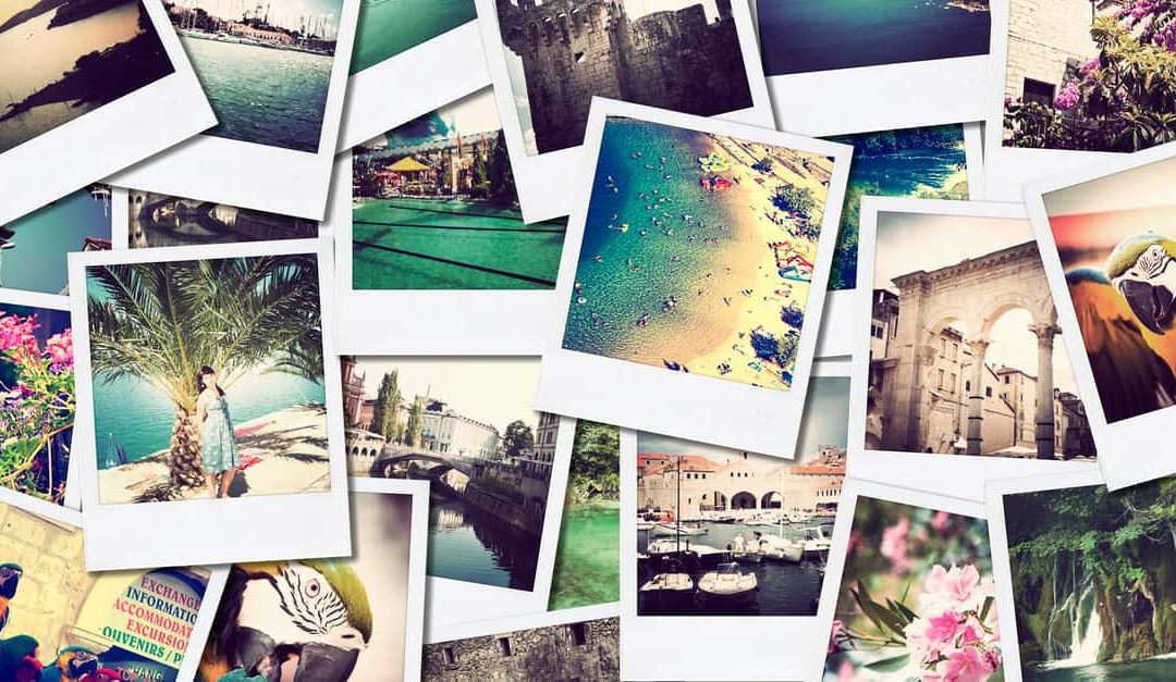 Collage of photographs