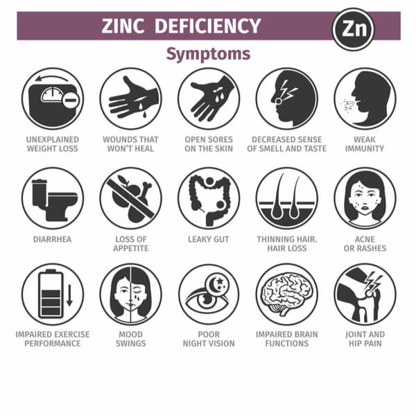 Zinc Benefits For Our Body, and the Best Sources. - SCALAR LIGHT