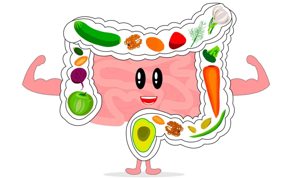 Healthy Digestion Fruits and vegetables in the colon for healthy digestion