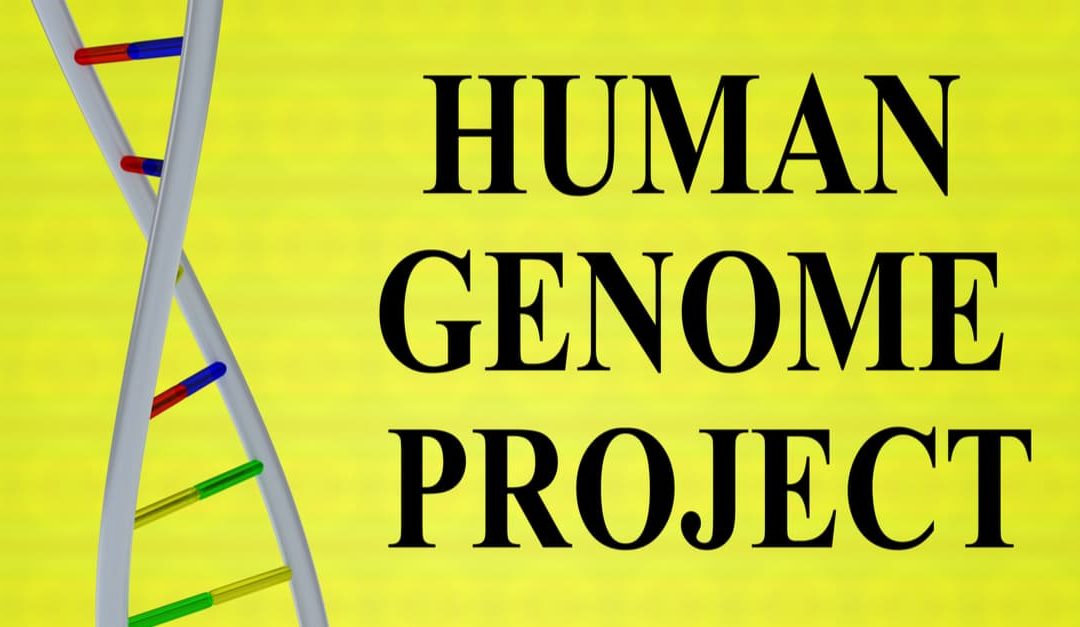 A 3D illustration of HUMAN GENOME PROJECT script with DNA double helix , isolated on a yellow background.