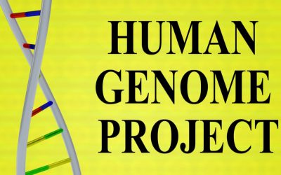 Human Genome Project: Genome Sequencing