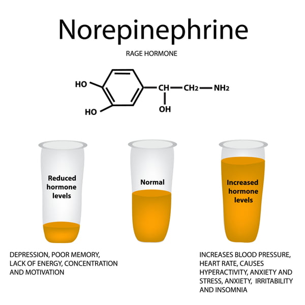What is Norepinephrine and What Does It Do? SCALAR LIGHT