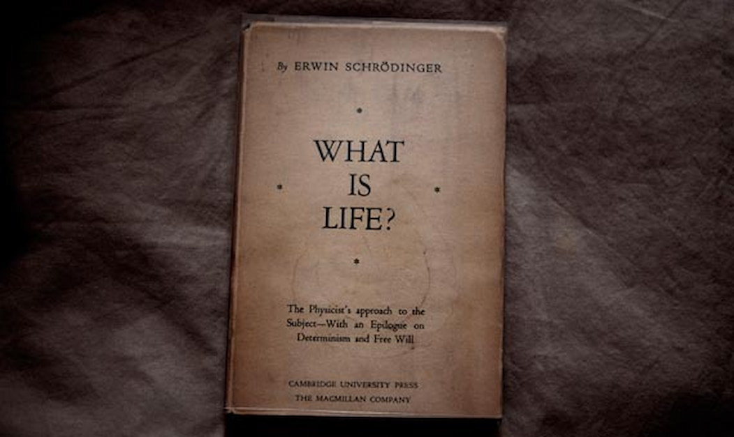 Erwin SchrÃ¶dinger's book What is Life?
