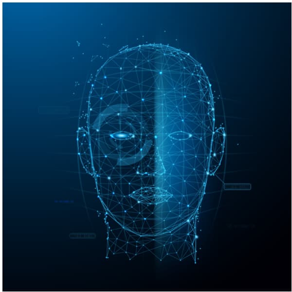 Digital Impression of a Human Face through Face recognition software.