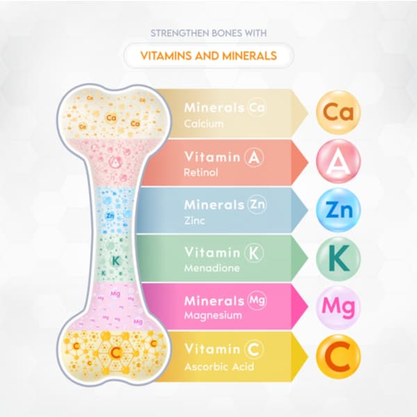 The Best Minerals for Healthy Bones - SCALAR LIGHT