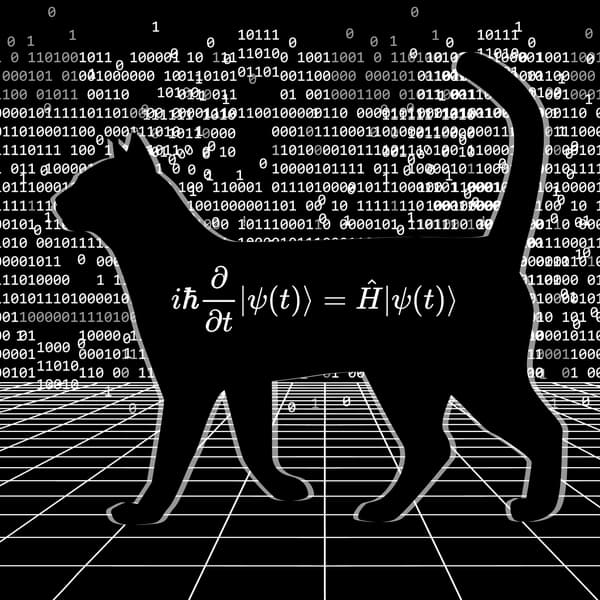Schrodingers Cat with quantum entanglement equations