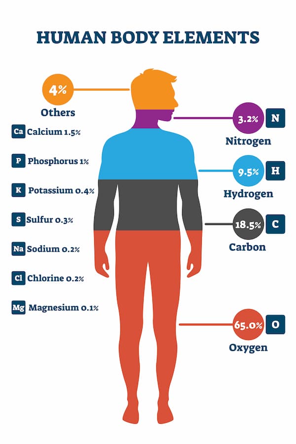Human Chemicals Diagram listing the most commonly found chemicals in the human body
