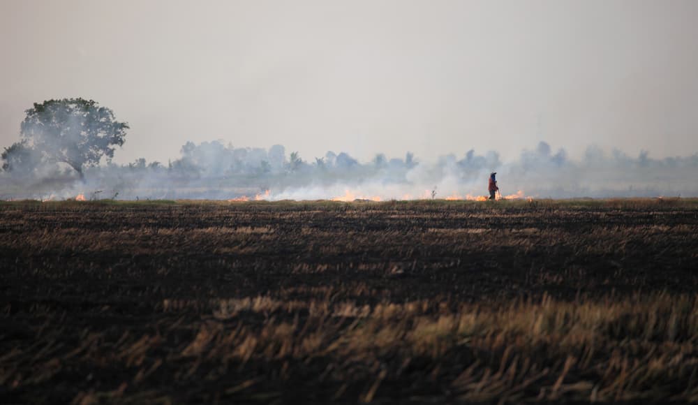 farmer burning his rice field cause of environment polution