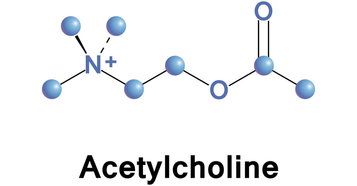 Acetylcholine is an organic chemical that functions in the brain and body as neurotransmitter