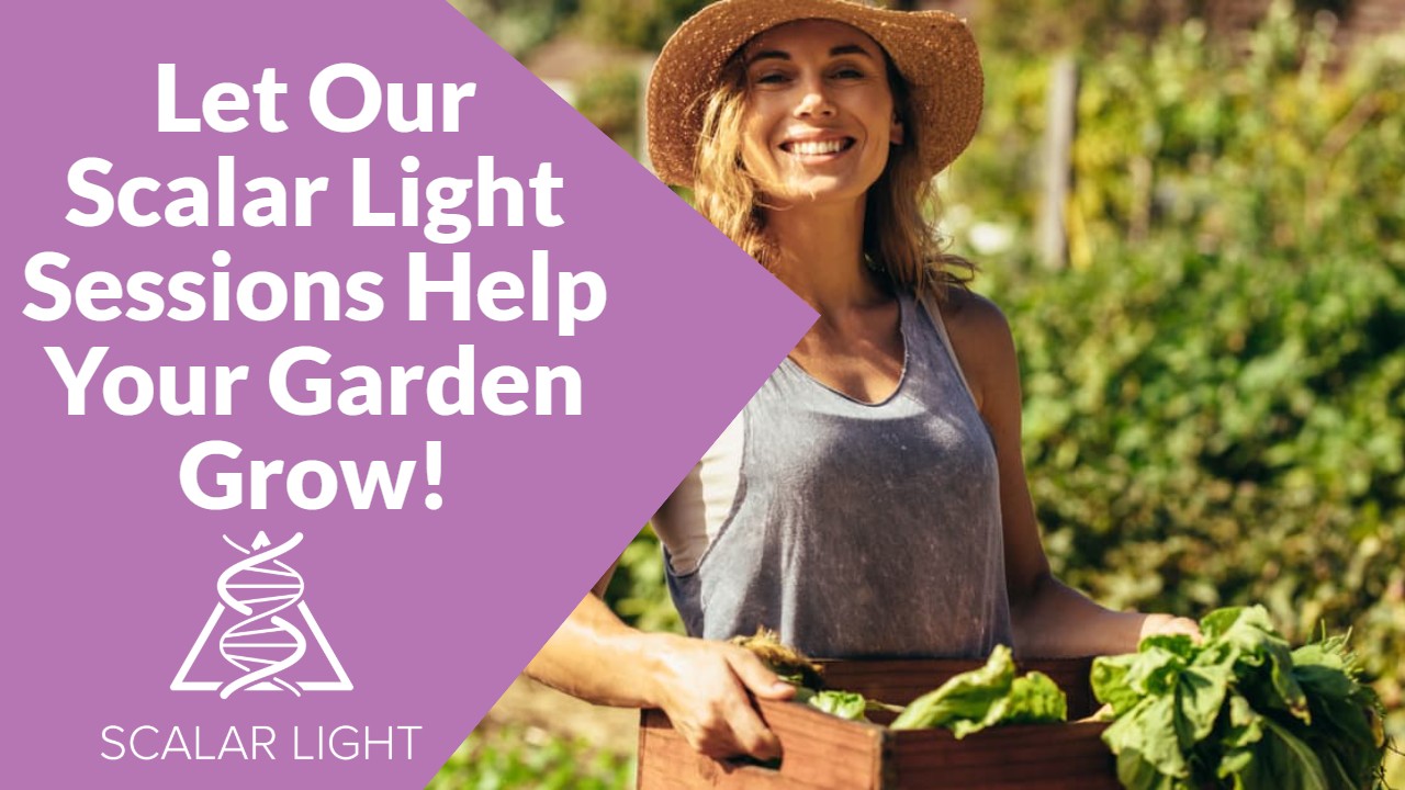 Try our Scalar Light Plant Health Program Today!