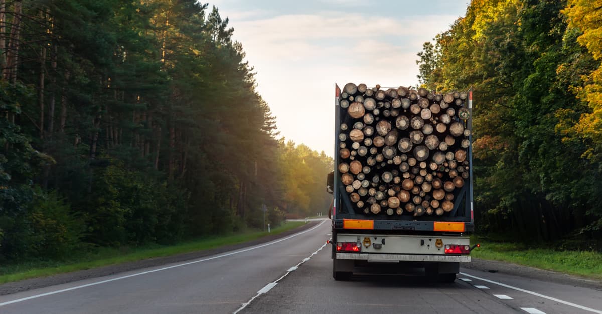 A lorry transporting logs across the country, increasing the  possibilty of spreading diseases such as chestnut blight to unaffected areas