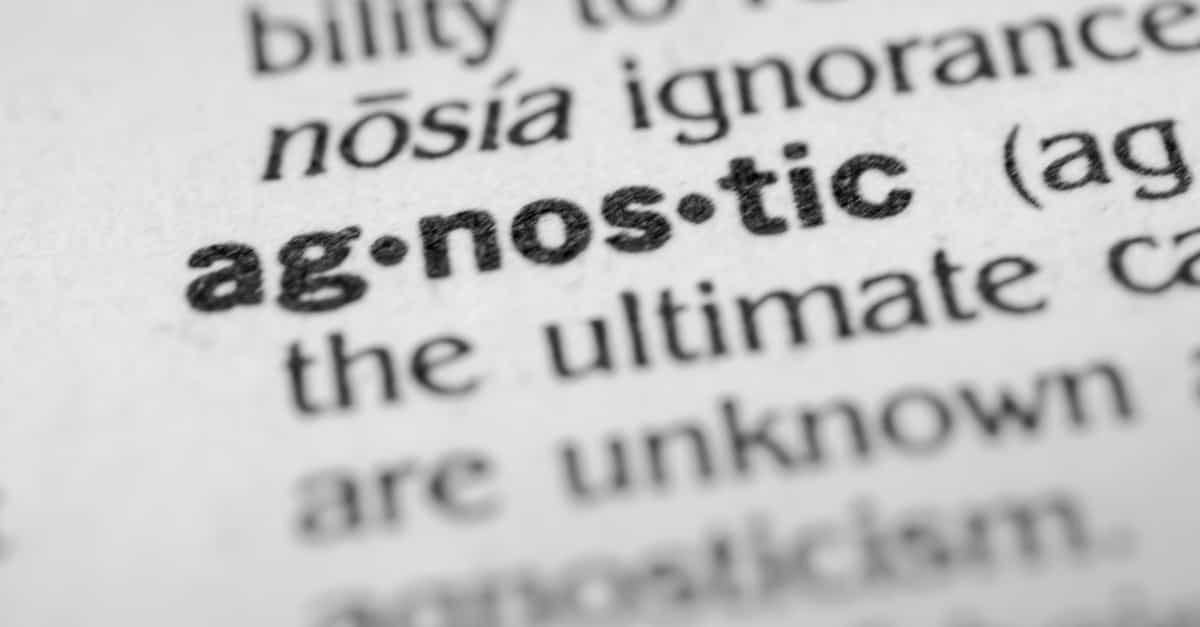 Dictionary definition of agnostic