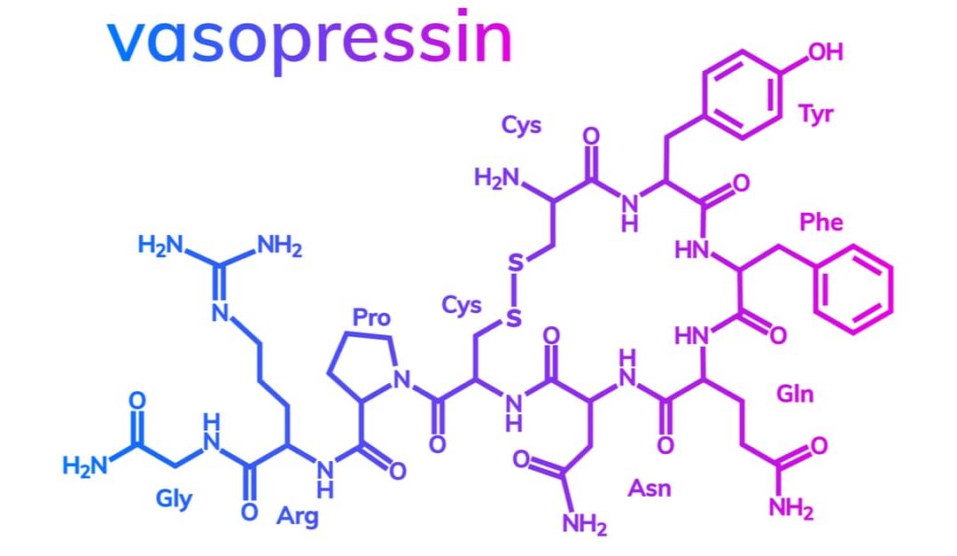 Vasopressin - Characteristics And Functions - SCALAR LIGHT